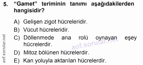 5. soru: "Gamet" teriminin tanımı aşağıdakilerden hangisidir? A) Gelişen zigot hücreleridir. B) Vücut hücreleridir. C) Döllenm…