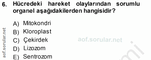 6. soru: Hücredeki hareket olaylarından sorumlu organel aşağıdakilerden hangisidir? A) Mitokondri B) Kloroplast C) Çekirdek D)…