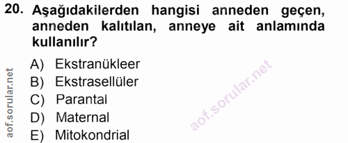 20. soru: Aşağıdakilerden hangisi anneden geçen, anneden kalıtılan, anneye ait anlamında kullanılır? A) Ekstranükleer B) Ekstra…