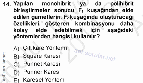 14. soru: Yapılan monohibrit ya da polihibrit birleştirmeler sonucu Fı kuşağından elde edilen gamelerin, F2 kuşağında oluşturac…