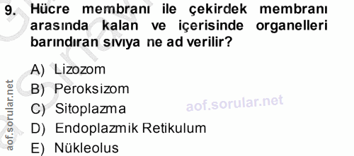 9. soru: Hücre membranı ile çekirdek membranı arasında kalan ve içerisinde organelleri barındıran sıvıya ne ad verilir? A) Liz…