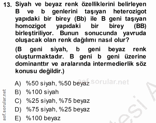 13. soru: Siyah ve beyaz renk özelliklerini belirleyen B ve b genlerini taşıyan heterozigot yapıdaki bir birey (Bb) ile B geni…