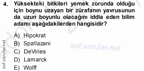 4. soru: Yüksekteki bitkileri yemek zorunda olduğu için boynu uzayan bir zürafanın yavrusunun da uzun boyunlu olacağını iddia…