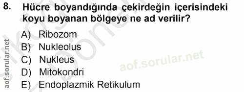 8. soru: Hücre boyandığında çekirdeğin içerisindeki koyu boyanan bölgeye ne ad verilir? A) Ribozom B) Nukleolus C) Nukleus D)…