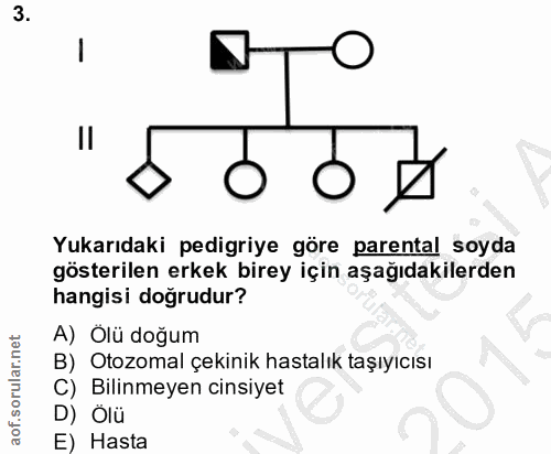 3. soru: Yukarıdaki pedigriye göre parental soyda gösterilen erkek birey için aşağıdakilerden hangisi doğrudur? A) Ölü doğum B…