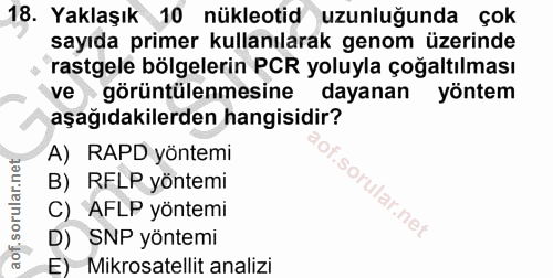 18. soru: Yaklaşık 10 nükleotid uzunluğunda çok sayıda primer kullanılarak genom üzerinde rastgele bölgelerin PCR yoluyla çoğal…