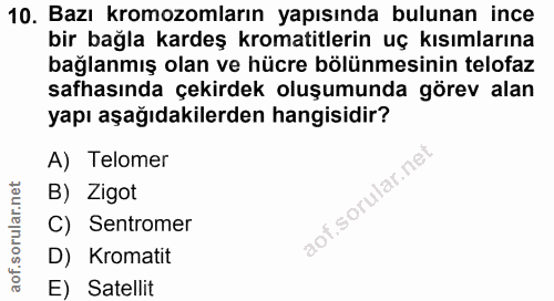 10. soru: Bazı kromozomların yapısında bulunan ince bir bağla kardeş kromatitlerin uç kısımlarına bağlanmış olan ve hücre bölün…