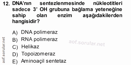 12. soru: DNA'nın sentezlemesinde nükleotitleri sadece 3' OH grubuna bağlama yeteneğine sahip olan enzim aşağıdakilerden hangis…