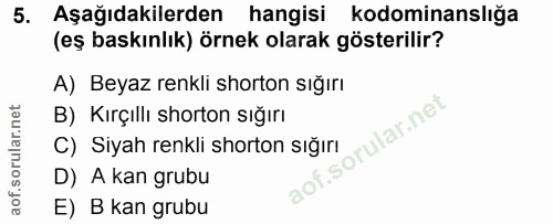 5. soru: Aşağıdakilerden hangisi kodominanslığa (eş baskınlık) örnek olarak gösterilir? A) Beyaz renkli shorton sığırı B) Kırç…
