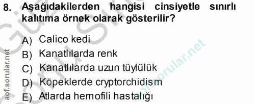 8. soru: Aşağıdakilerden hangisi cinsiyetle sınırlı kalıtıma örnek olarak gösterilir? A) ' Calico kedi lar.net B) Kanatlılarda…