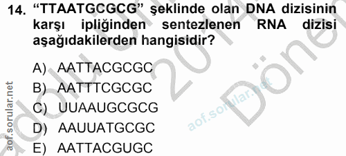 14. soru: "TTAATGCGCG" şeklinde olan DNA dizisinin karşı ipliğinden sentezlenen RNA dizisi aşağıdakilerden hangisidir? A) AATTA…