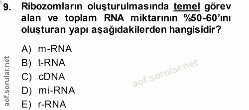 9. soru: Ribozomların oluşturulmasında temel görev alan ve toplam RNA miktarının %50-60'ını oluşturan yapı aşağıdakilerden han…