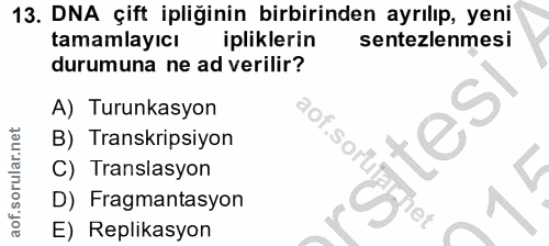 13. soru: DNA çift ipliğinin birbirinden ayrılıp, yeni tamamlayıcı ipliklerin sentezlemesi durumuna ne ad verilir? A) Turunkasy…