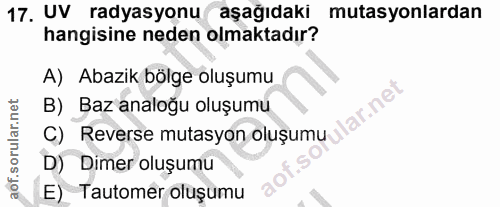 17. soru: UV radyasyonu aşağıdaki mutasyonlardan hangisine neden olmaktadır? A) Abazik bölge oluşumu B) Baz analoğu oluşumu lar…