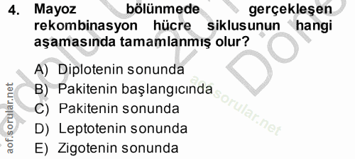 4. soru: Mayoz bölünmede gerçekleşen rekombinasyon hücre siklusunun hangi aşamasında tamamlanmış olur? A) Diplotenin sonunda B…