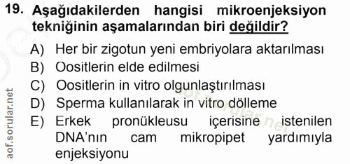 19. soru: Aşağıdakilerden hangisi mikroenjeksiyon tekniğinin aşamalarından biri değildir? A) Her bir zigotun yeni embriyolara a…