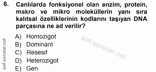 6. soru: Canlılarda fonksiyonel olan enzim, protein, makro ve mikro moleküllerin yanı sıra kalıtsal özelliklerinin kodlarını t…