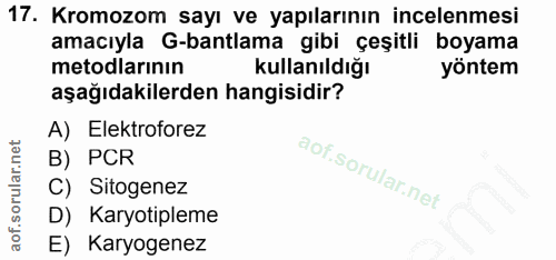 17. soru: Kromozom sayı ve yapılarının incelenmesi amacıyla G-bantlama gibi çeşitli boyama metodlarının Kullanıldığı yöntem aşa…