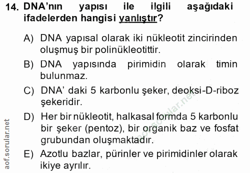 14. soru: DNA'nin yapısı ile ilgili aşağıdaki ifadelerden hangisi yanlıştır? A) DNA yapısal olarak iki nükleotit zincirinden ol…