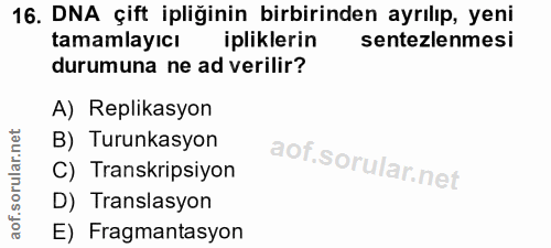 16. soru: DNA çift ipliğinin birbirinden ayrılıp, yeni tamamlayıcı ipliklerin sentezlenmesi durumuna ne ad verilir? A) Replikas…