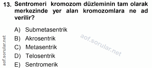 13. soru: Sentromeri kromozom düzleminin tam olarak merkezinde yer alan kromozomlara ne ad verilir? A) Submetasentrik rular.net…
