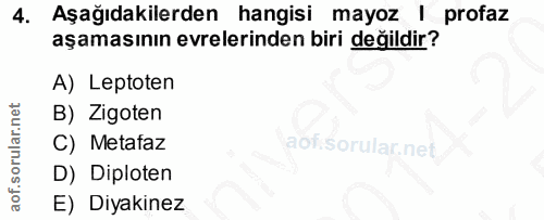 4. soru: Aşağıdakilerden hangisi mayoz | profaz aşamasının evrelerinden biri değildir? A) Leptoten B) Zigoten C) Metataz D) Di…