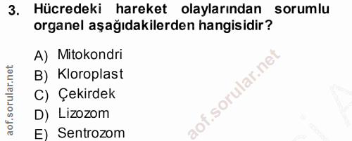 3. soru: Hücredeki hareket olaylarından sorumlu organel aşağıdakilerden hangisidir? A) Mitokondri B) Kloroplast C) Çekirdek D)…