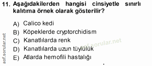 11. soru: Aşağıdakilerden hangisi cinsiyetle sınırlı kalıtıma örnek olarak gösterilir? A) Calico kedi B) Köpeklerde cryptorchid…