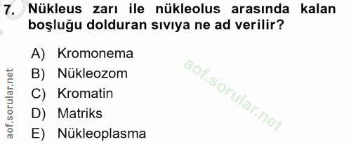 7. soru: Nükleus zarı ile nükleolus arasında kalan boşluğu dolduran sıvıya ne ad verilir? A) Kromonema B) Nükleozom C) Kromati…
