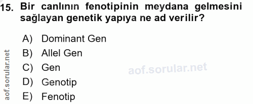 15. soru: Bir canlının fenotipinin meydana gelmesini sağlayan genetik yapıya ne ad verilir? A) Dominant Gen B) Allel Gen C) Gen…