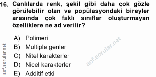 16. soru: Canlılarda renk, şekil gibi daha çok gözle görülebilir olan ve popülasyondaki bireyler arasında çok faklı sınıflar ol…