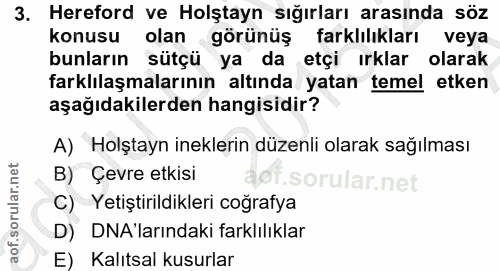 3. soru: Hereford ve Holştayn sığırları arasında söz konusu olan görünüş farklılıkları veya bunların sütçü ya da etçi ırklar o…
