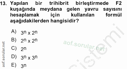 13. soru: Yapılan bir trihibrit birleştirmede F2 kuşağında meydana gelen yavru sayısını hesaplamak için kullanılan formül aşağı…