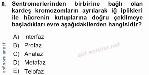 8. soru: Sentromerlerinden birbirine bağlı olan kardeş kromozomların ayrılarak iğ iplikleri ile hücrenin kutuplarına doğru çek…