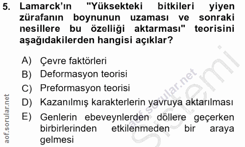 5. soru: Lamarck'ın "Yüksekteki bitkileri yiyen zürafanın boynunun uzaması ve sonraki nesillere bu özelliği aktarması" teorisi…