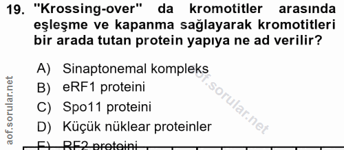 19. soru: "Krossing-over" da kromotitler arasında eşleşme ve kapanma sağlayarak kromotitleri bir arada tutan protein yapıya ne…
