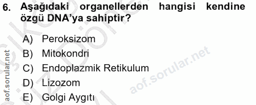 6. soru: Aşağıdaki organellerden hangisi kendine özgü DNA'ya sahiptir? A) Peroksizom B) Mitokondri ar.ne C) Endoplazmik Retiku…