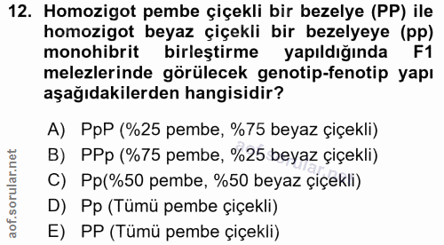 12. soru: Homozigot pembe çiçekli bir bezelye (PP) ile homozigot beyaz çiçekli bir bezelyeye (pp) mon ibrit birleştirme yapıldi…
