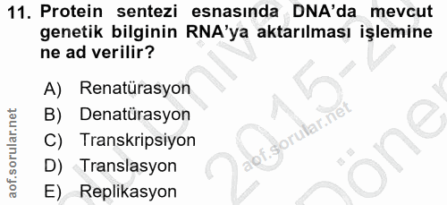 11. soru: Protein sentezi esnasında DNA'da mevcut genetik bilginin RA'ya aktarılması işlemine ne ad verilir? A) Renatürasyon B)…
