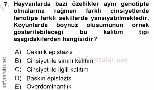 7. soru: Hayvanlarda bazı özellikler aynı genotipte olmalarına rağmen farklı cinsiyetlerde fenotipe farklı şekillerde yansıyab…