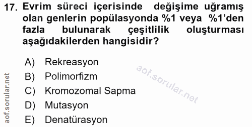 17. soru: Evrim süreci içerisinde değişime uğramış olan genlerin popülasyonda %1 veya %1'den fazla bulunarak çeşitlilik oluştur…