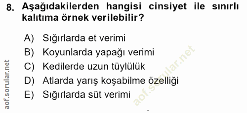 8. soru: Aşağıdakilerden hangisi cinsiyet ile sınırlı kalıtıma örnek verilebilir? A) Sığırlarda et verimi B) Koyunlarda yapağı…