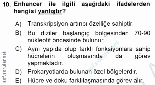 10. soru: Enhancer ile ilgili aşağıdaki ifadelerden hangisi yanlıştır? A) Transkripsiyon artırıcı özelliğe sahiptir. B) Bu dizi…