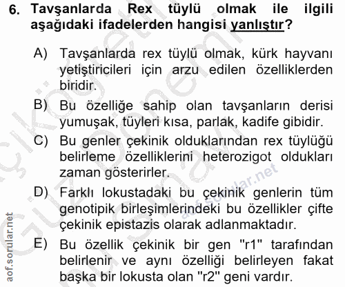 6. soru: Tavşanlarda Rex tüylü olmak ile ilgili aşağıdaki ifadelerden hangisi yanlıştır? A) Tavşanlarda rex tüylü olmak, kürk…