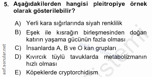 5. soru: Aşağıdakilerden hangisi pleitropiye örnek olarak gösterilebilir? A) Yerli kara sığırlarında siyah renklilik B) Eşek i…