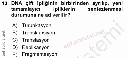 13. soru: DNA çift ipliğinin birbirinden ayrılıp, yeni tamamlayıcı ipliklerin sentezlemesi durumuna ne ad verilir? A) Turunkasy…