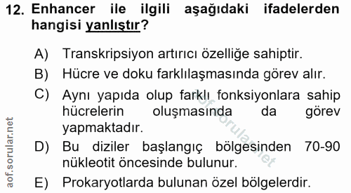 12. soru: Enhancer ile ilgili aşağıdaki ifadelerden hangisi yanlıştır? A) Transkripsiyon artırıcı özelliğe sahiptir. B) Hücre v…