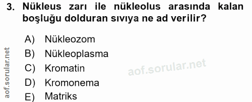 3. soru: Nükleus zarı ile nükleolus arasında kalan boşluğu dolduran sıvıya ne ad verilir? A) Nükleozom B) Nükleoplasma C) Krom…