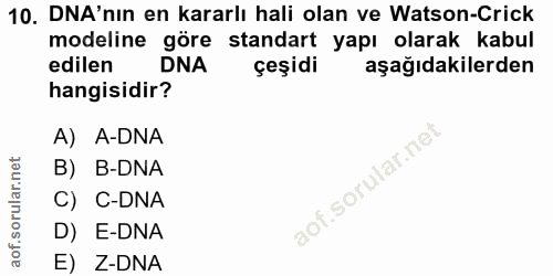 10. soru: DNA'nın en kararlı hali olan ve Watson-Crick modeline göre standart yapı olarak kabul edilen DNA çeşidi aşağıdakilerd…