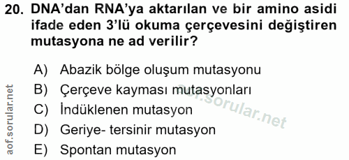 20. soru: DNA'dan RA'ya aktarılan ve bir amino asidi ifade eden 3'lü okuma çerçevesini değiştiren mutasyona ne ad verilir? A) A…